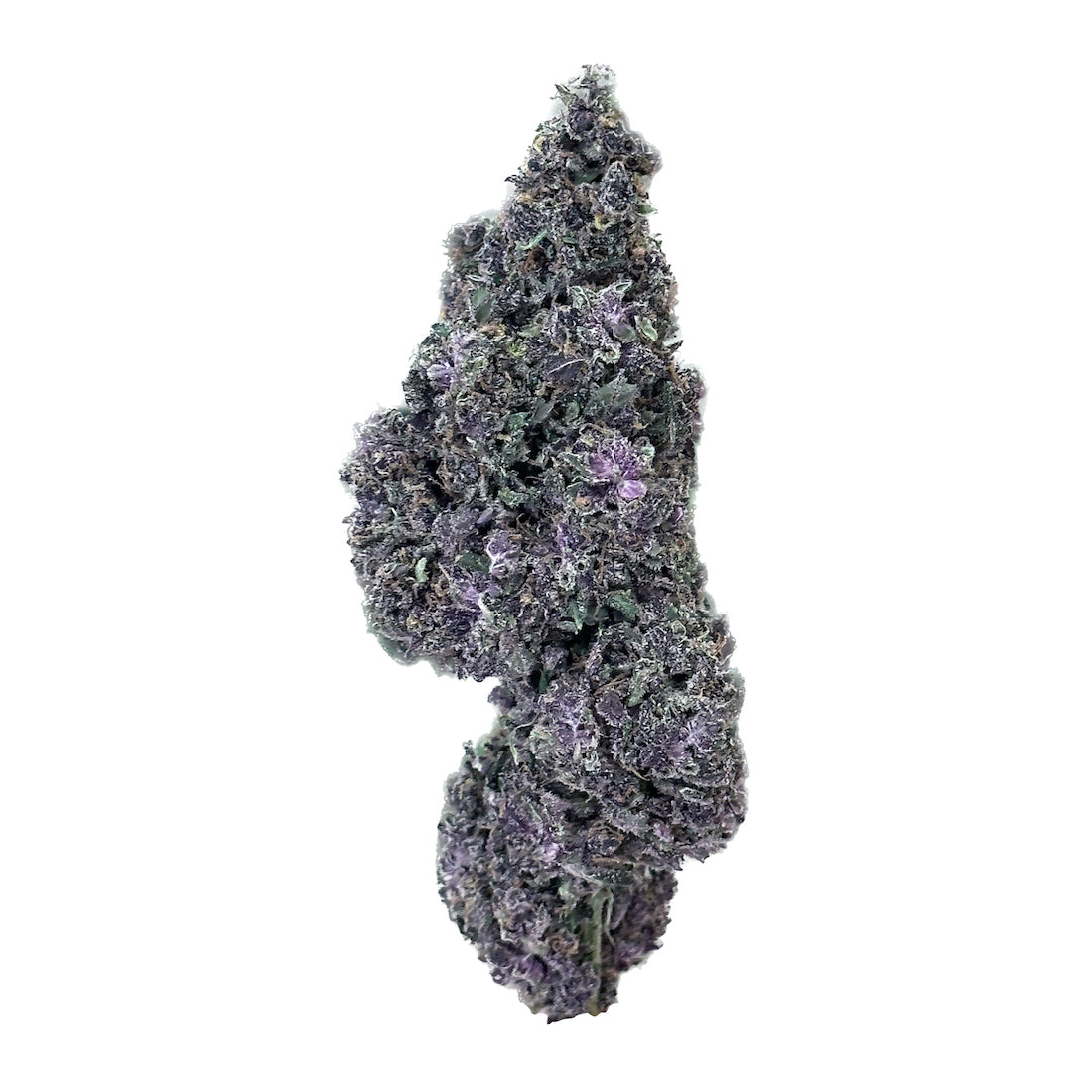 Béluga - Une Fleur de CBD d'Exception aux Couleurs Magnifiques Description de la photo : Découvrez la Béluga, une fleur de CBD incroyablement belle et puissante. Avec ses teintes violettes profondes et éclatantes, cette variété unique créée par Maison Sativa captivera votre regard et ravira vos sens. Plongez dans un monde de couleurs vibrantes et explorez les bienfaits du CBD avec la Béluga. Commandez dès maintenant et laissez-vous séduire par cette fleur majestueuse.