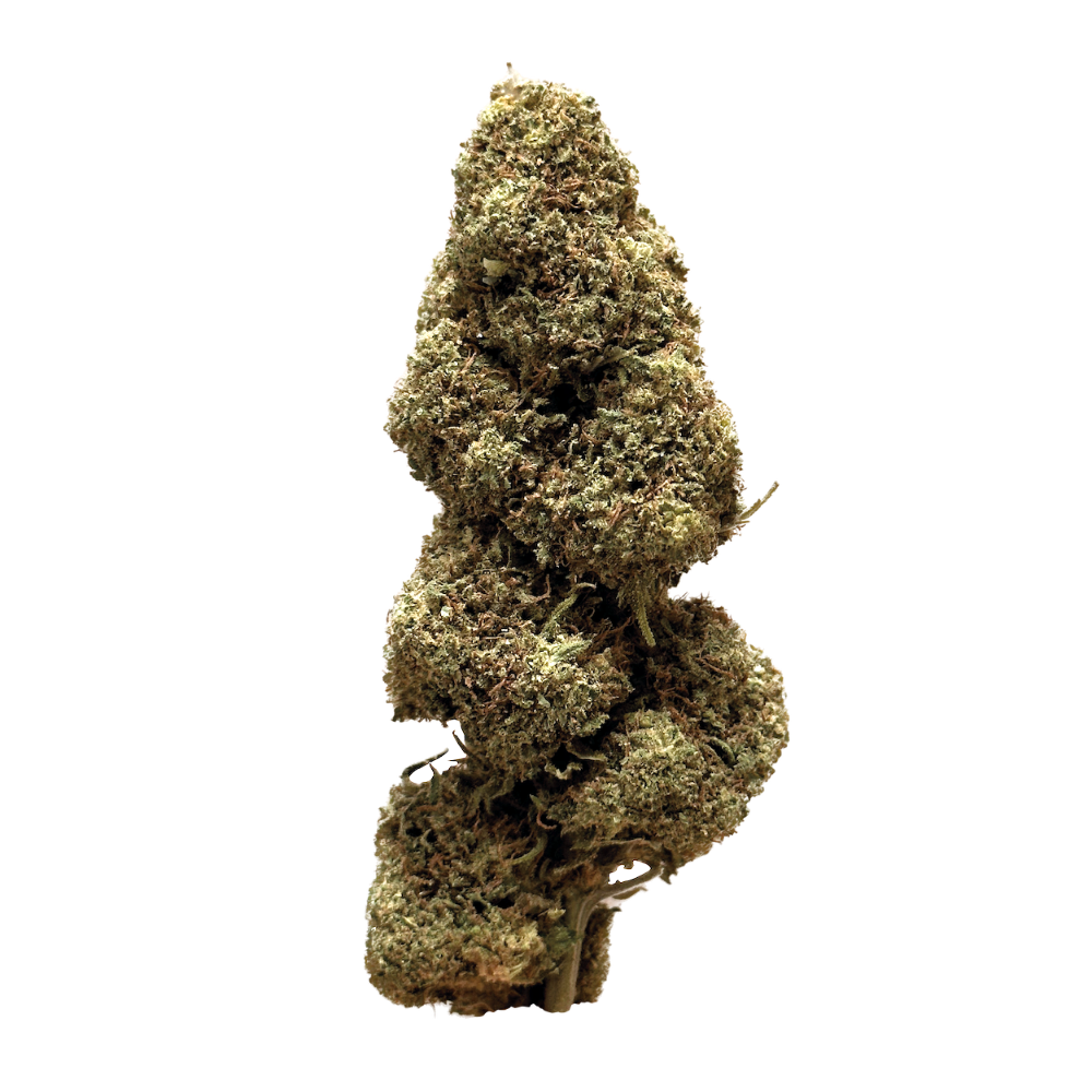 cannabis légal, Camino, fleurs de CBD effets puissants, CBD pas cher. Maison Sativa, 50100 cherbourg