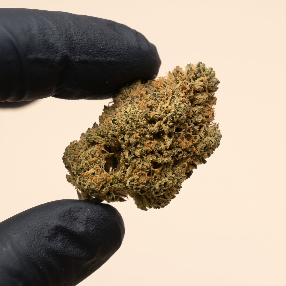 JMB | Fleur CBD Puissante – L'Art de la Déconnexion