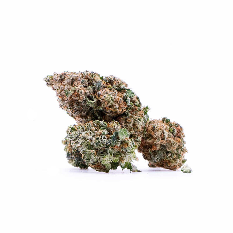Fleurs de CBD HOFA de chez Maison Sativa