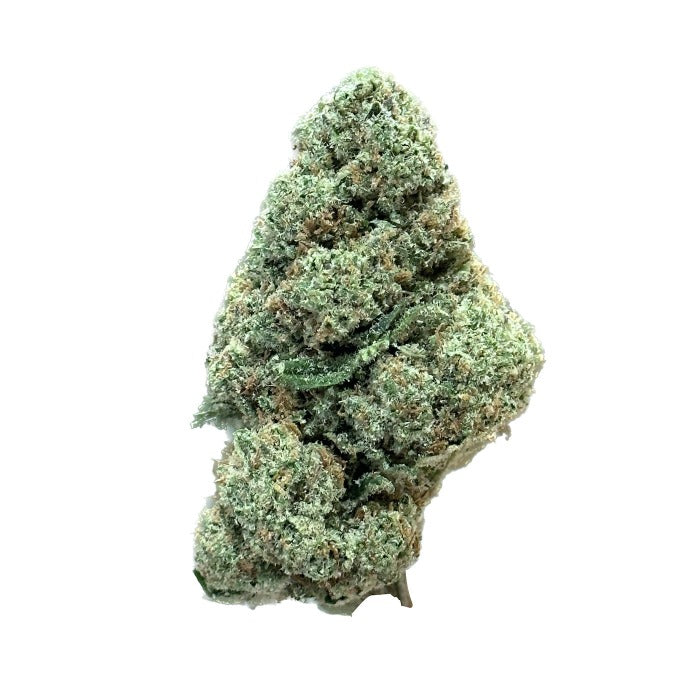 fleur de CBD KLINT de chez maison sativa, une fleur de CBD incroyable, au doux parfum floral et effets puissants contre les douleurs digestives, spasmodiques et contre les douleurs liées à l'endométriose. Maison Sativa, cherbourg-en-cotentin, 50100.