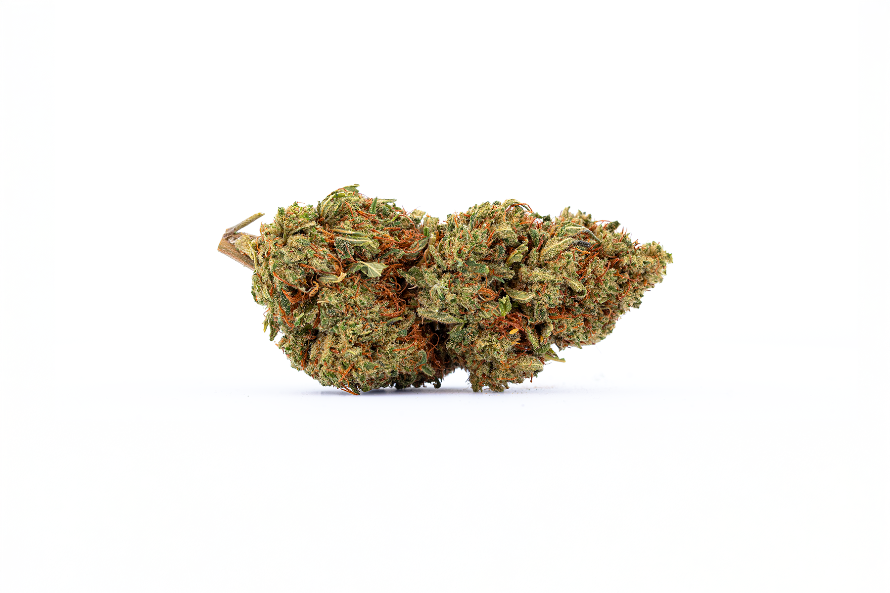 Fleur de CBD indoor Lemon Ice, compact et riche en trichome