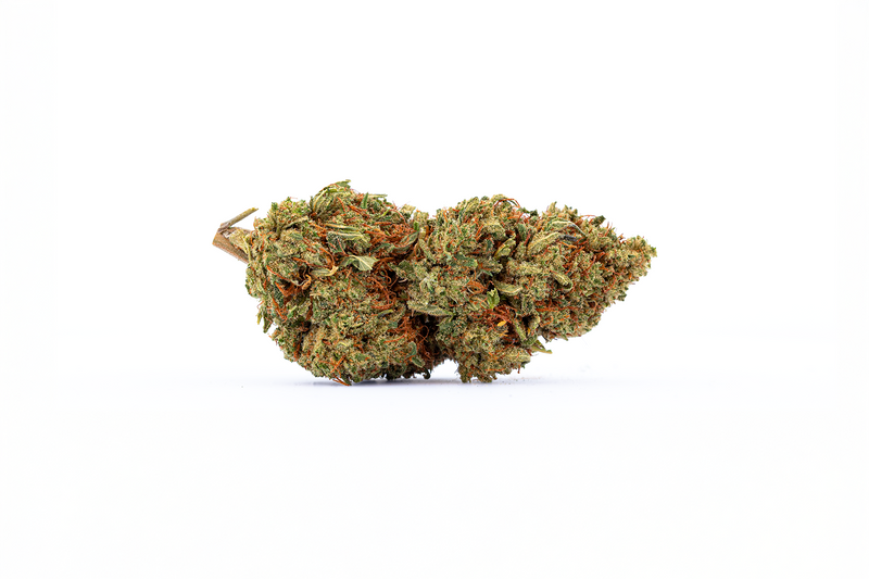 Fleur de CBD indoor Lemon Ice, compact et riche en trichome
