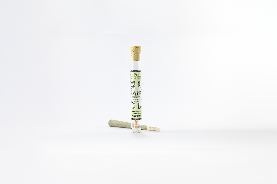pré-roulé au CBD de chez Maison Sativa de la variété Lemon Haze. Pré-roulé sans tabac.