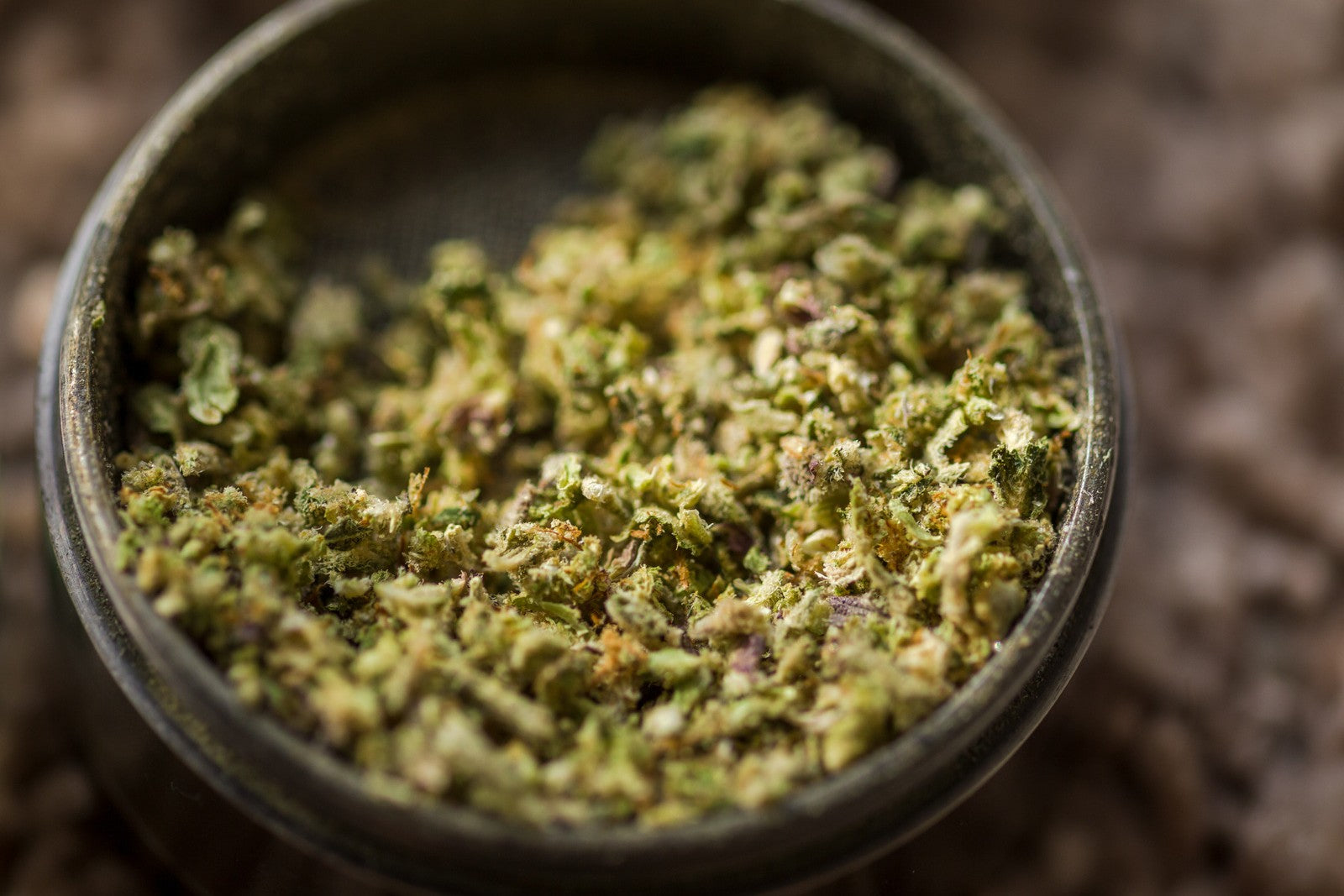 grinder rempli de mouture de CBD