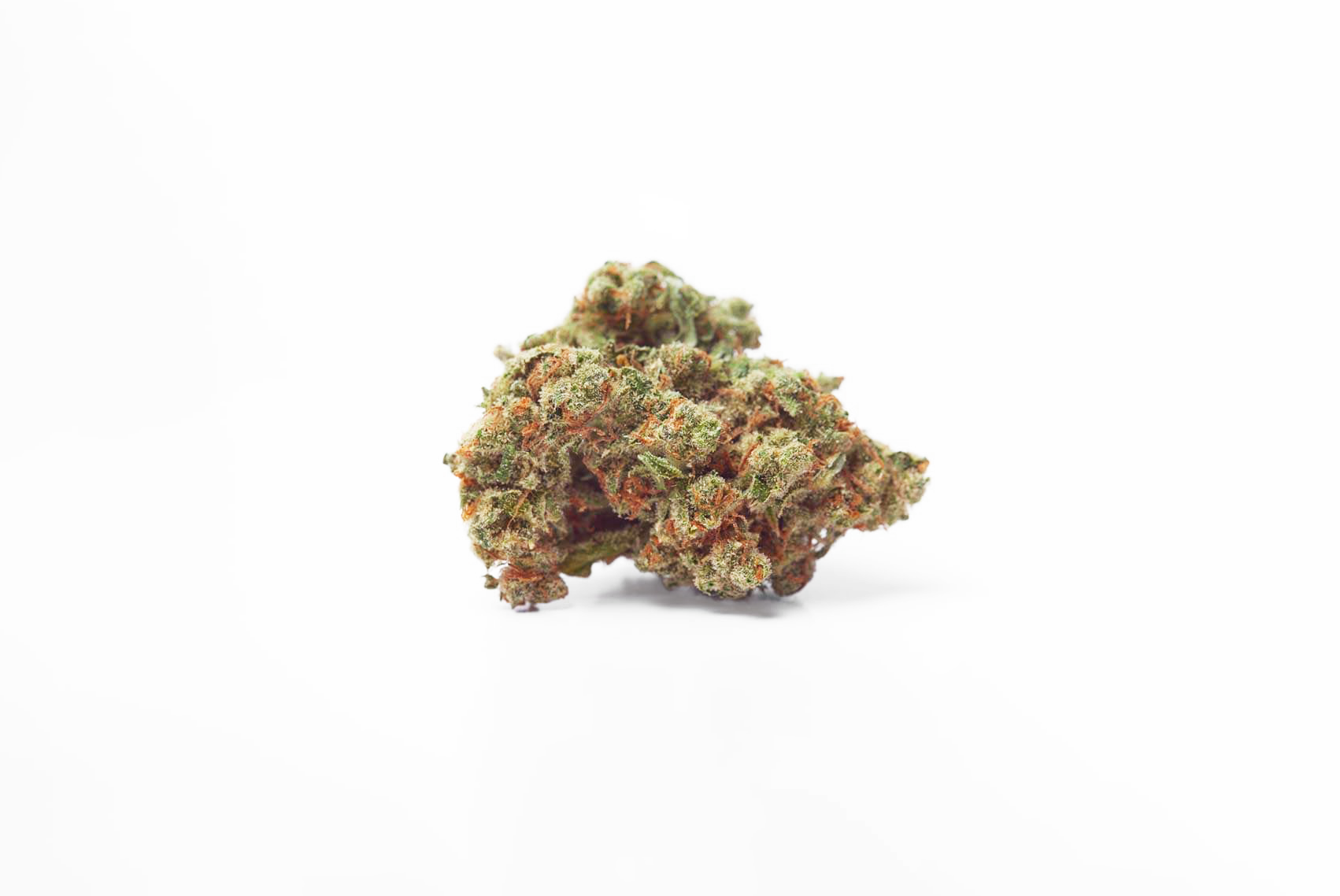 fleur de CBD pharoah sur fond blanc