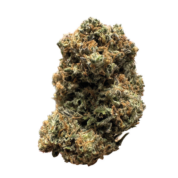 Fleurs de CBD, fleur de cannabis légal light aux effets puissants. Meilleures fleurs de CBD à cherbourg-en-cotentin, à tourlaville, à querqueville, à valognes. 50100, maison sativa, haut de gamme, relaxation, sommeil, douleurs, anxiété, insomnies.