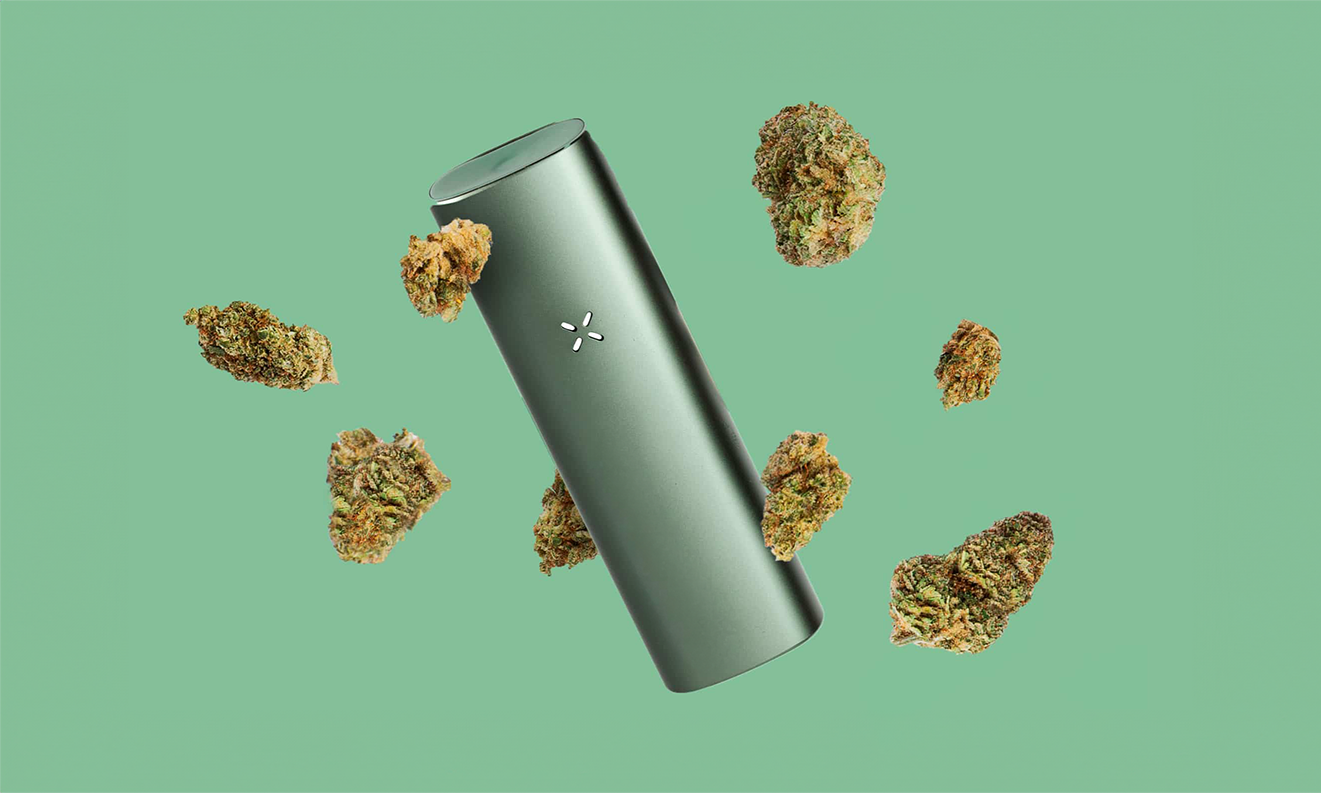 vaporisateur de la marque PAX entouré de fleurs de CBD puissantes sur fond vert.