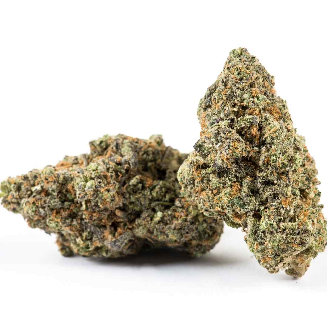 fleurs de cbd haut de gamme Muntz de chez Maison Sativa, une fleur de CBD aux effets puissants pour retrouver le sommeil et combattre l'anxiété. Cherbourg-en-cotentin, 50100. Cannabis légal avec un taux de THC inférieur à 0.3%