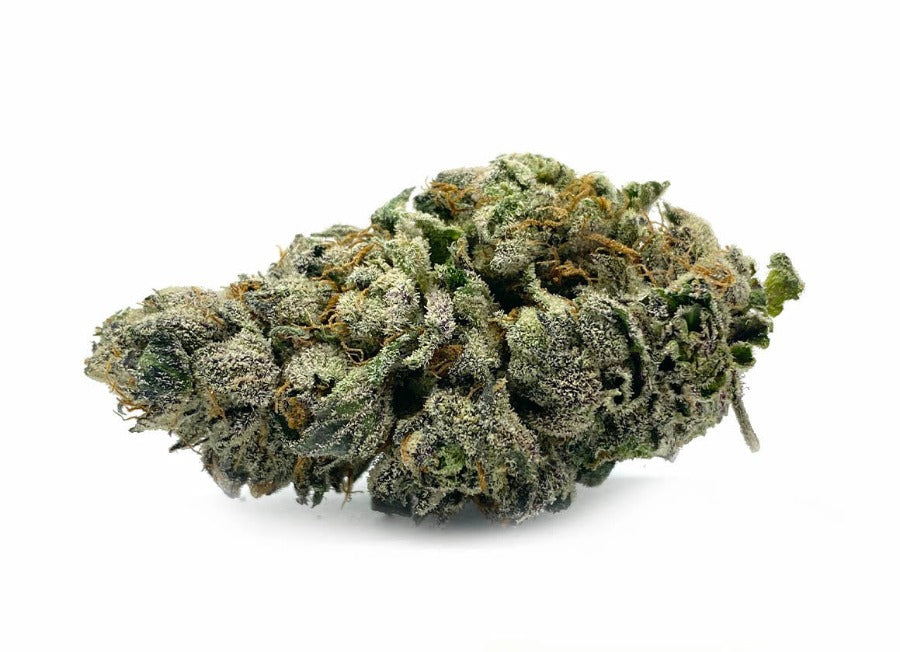 fleur de cbd guava ice de chez maison sativa à cherbourg en cotentin. Cbd de haute qualité, culture indoor. Variété puissante.