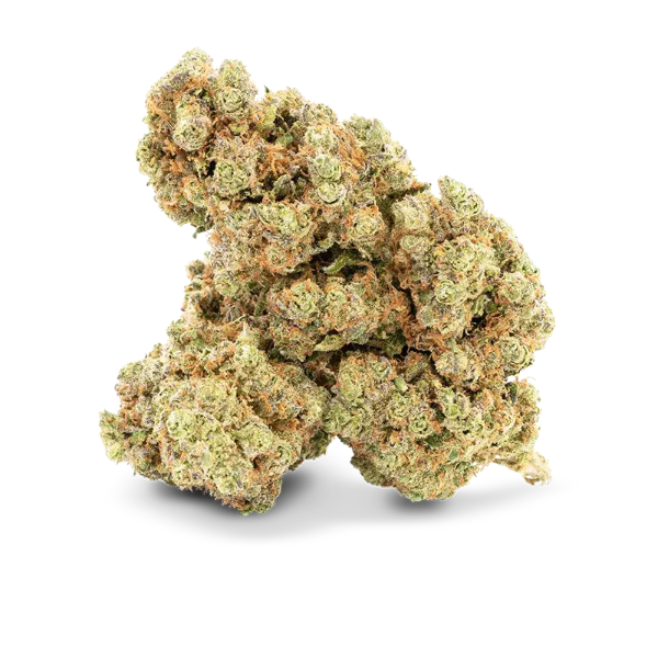 cbd cherbourg, maison sativa, fleur royal cheese cbd