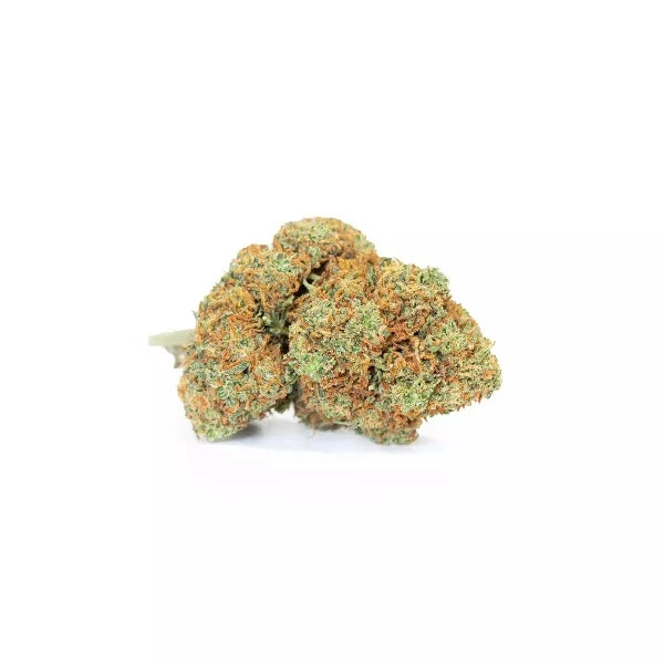 Fleurs de CBD de chez Maison Sativa. Pot de Strawberry Kush CBD, tarif le plus bas du marché, prix discount, cbd pas cher, fleur de cbd pas chère, Cherbourg-en-cotentin. 50100. Relaxation, méditation, sommeil, douleurs, vaporisation.