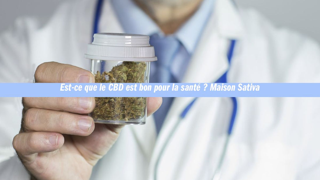 Est-ce que le CBD est bon pour la santé ? Maison Sativa