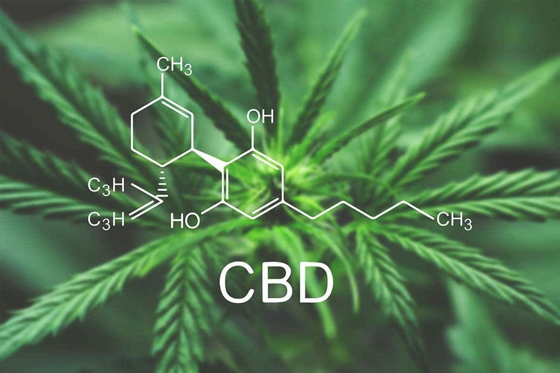 Molécule de cannabidiol, CBD sur fond de cannabis.