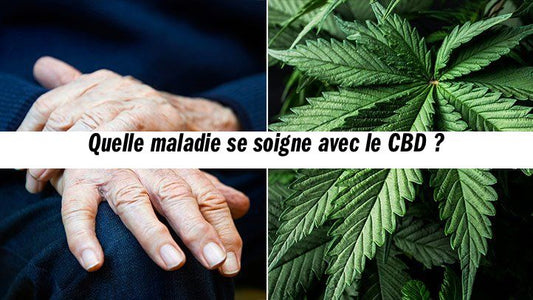 Quelle maladie se soigne avec le CBD ?