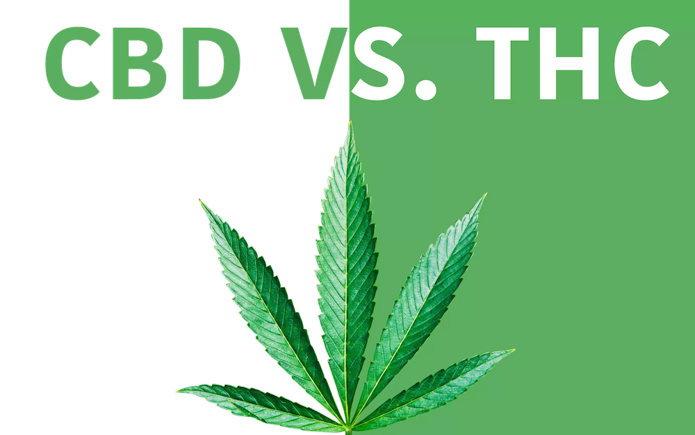 CBD vs THC