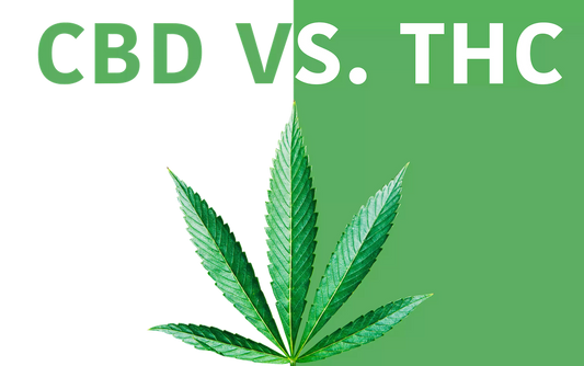 CBD vs THC