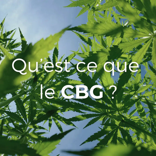 Qu'est-ce que le CBG ?