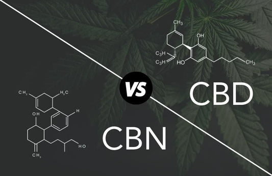 Quelle différence entre le CBD et le CBN ? Maison Sativa