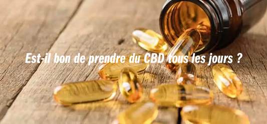 Est-il bon de prendre du CBD tous les jours ? Décryptage complet | Maison Sativa