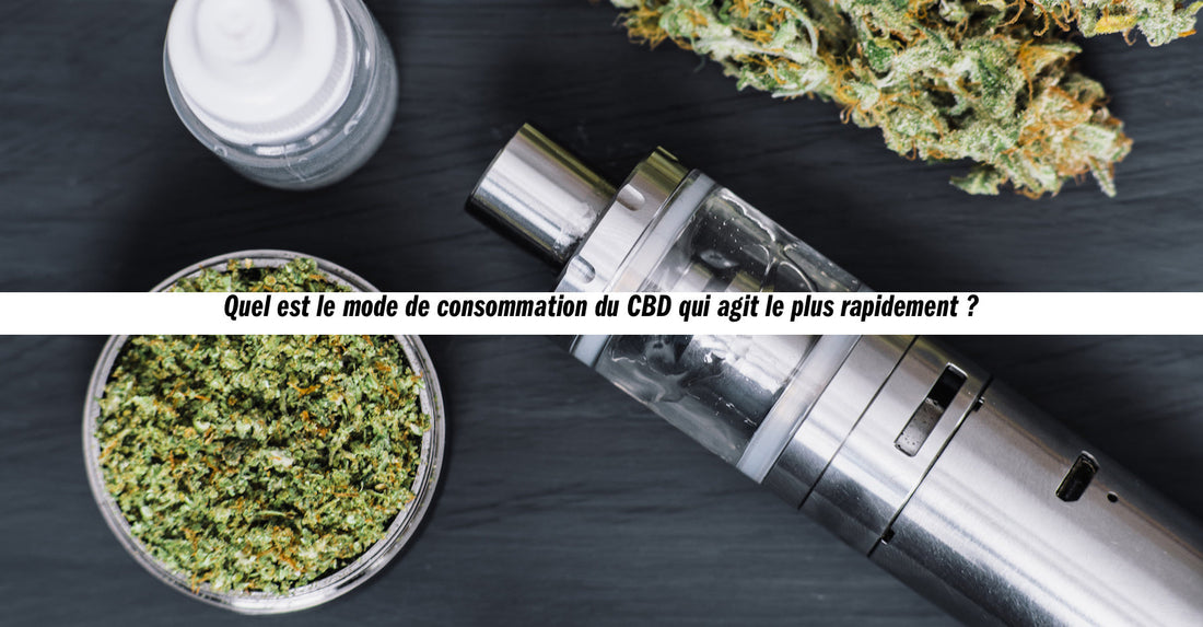 Quel est le mode de consommation du CBD qui agit le plus rapidement ? Maison Sativa