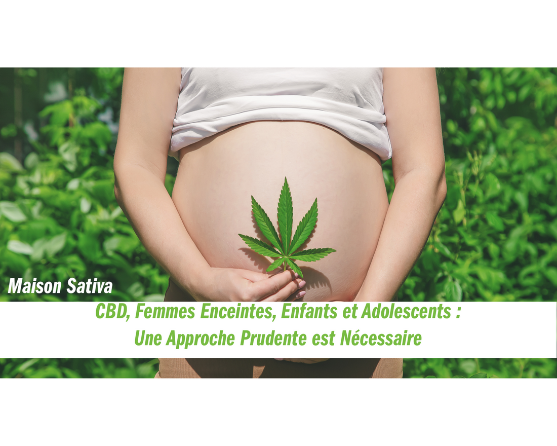 CBD, Femmes Enceintes, Enfants et Adolescents : Une Approche Prudente est Nécessaire | Maison Sativa