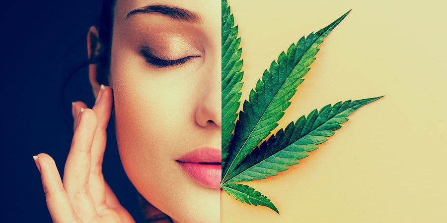 CBD et migraine : Soulager les migraines grâce au CBD