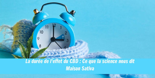 La durée de l'effet du CBD : Ce que la science nous dit