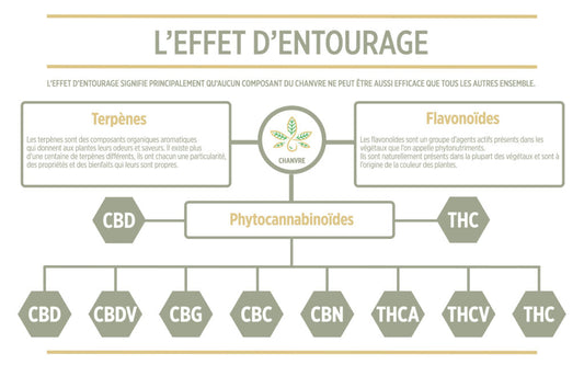 présentation de la notion d'effet d'entourage