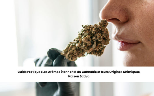 les arômes étonnants du cannabis