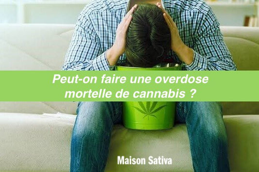 peut-on faire une overdose mortelle de cannabis ?