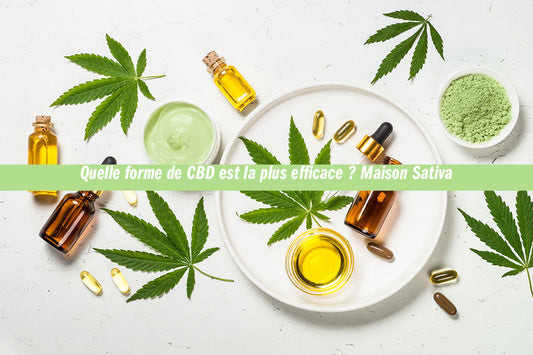 Quelle forme de CBD est la plus efficace ? Maison Sativa