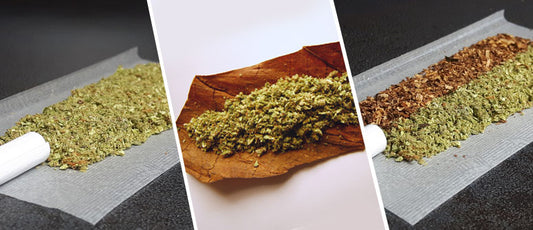 Joints, Blunts, Spliffs et vaporisation Expliqués : Découvrez les Plaisirs du Cannabis CBD