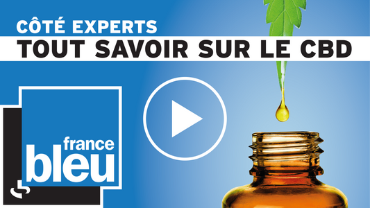 Tout savoir sur le CBD | PODCAST | Maison Sativa sur France Bleu