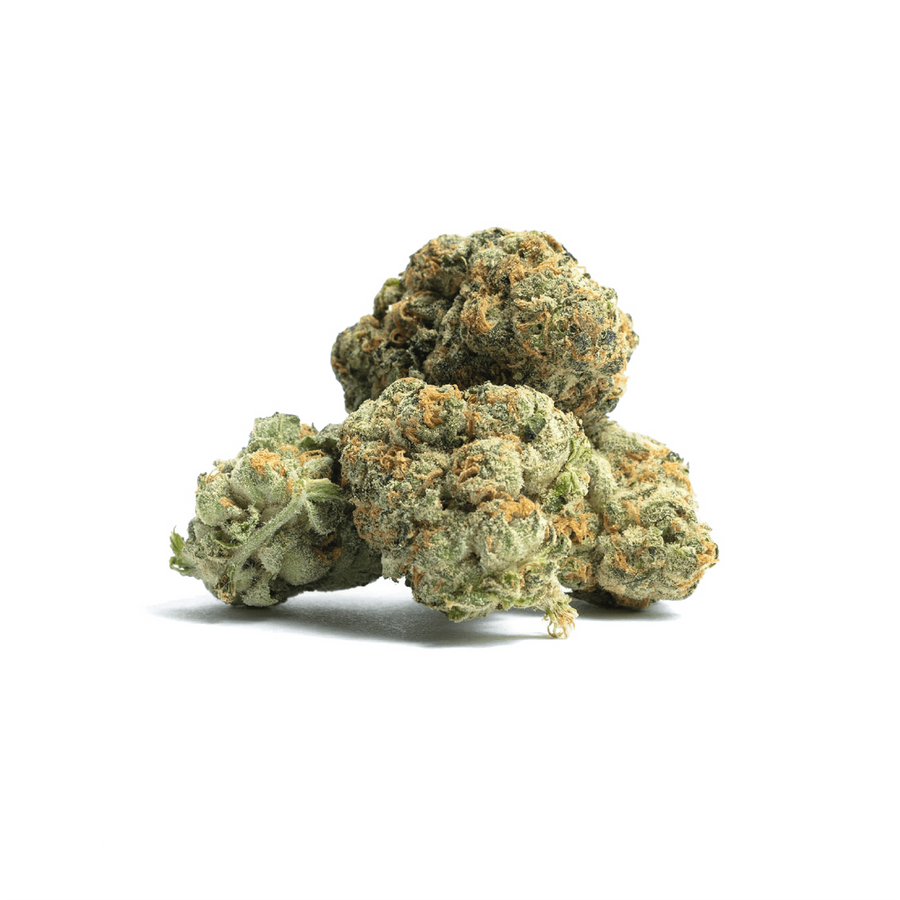 Fleurs de CBD premium de chez Maison Sativa cultivées en Suisse, issues de l'agriculture biologique.