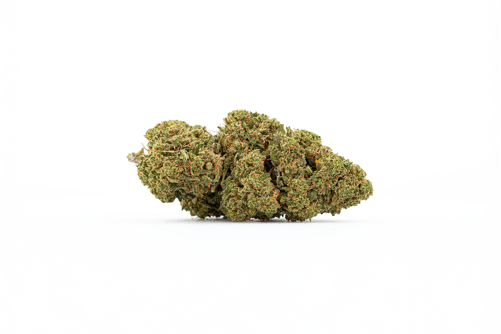 Fleurs de CBD Bio AK-47 sur fond blanc de chez Maison Sativa