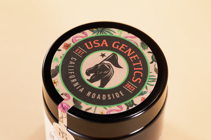 Couvercle USA GENTICS CALI de la fleur de CBD Aloha de chez Maison Sativa