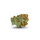 fleurs de CBD USA GENETICS CALI, Aloha, maisons Sativa à cherbourg