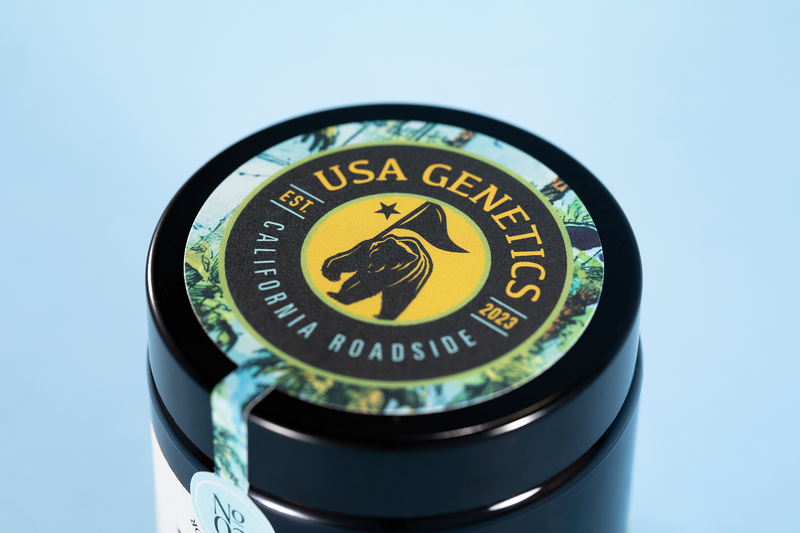 Pot de fleur de CBD USA GENETICS CALI de chez Maison Sativa 