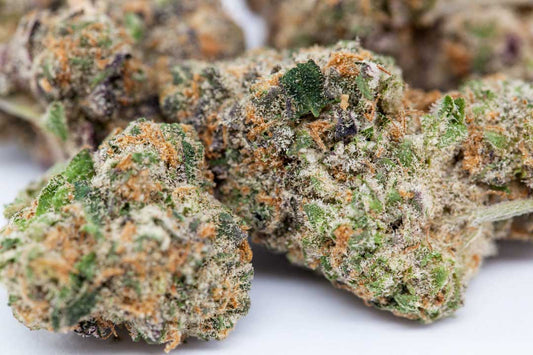 CALI DREAM - CALIFORNIAN CBD - Maison Sativa