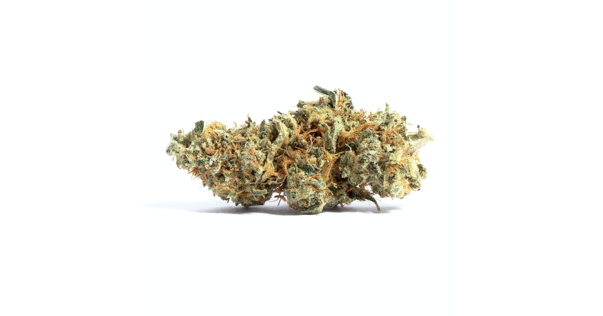 Fleur de CBD Cali Express de chez Maison Sativa sur fond blanc