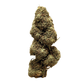 cannabis légal, Camino, fleurs de CBD effets puissants, CBD pas cher. Maison Sativa, 50100 cherbourg 