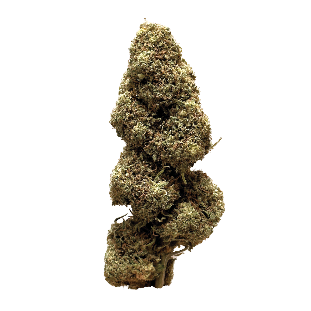 cannabis légal, Camino, fleurs de CBD effets puissants, CBD pas cher. Maison Sativa, 50100 cherbourg 