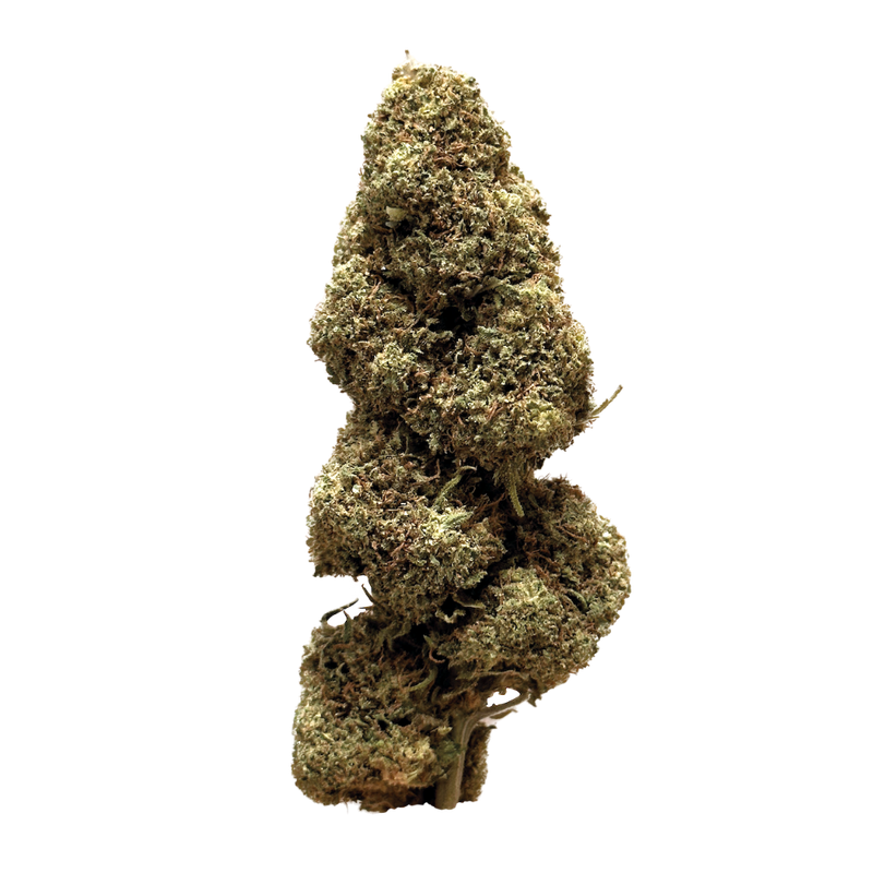 cannabis légal, Camino, fleurs de CBD effets puissants, CBD pas cher. Maison Sativa, 50100 cherbourg 