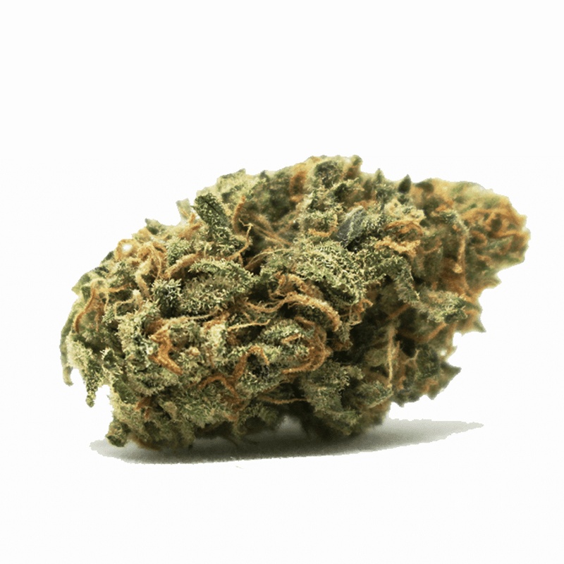 CANDY KUSH - ULTRA PREMIUM CBD FLOWER - Maison Sativa