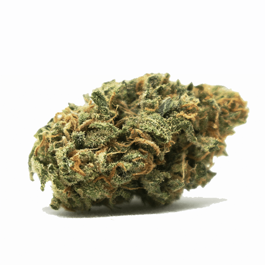 CANDY KUSH - ULTRA PREMIUM CBD FLOWER - Maison Sativa