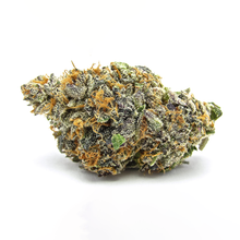 Dunk - USA GENETICS CALI - Maison Sativa