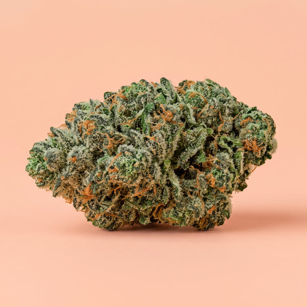 Zkittlez CBD 50 % HRC : la fleur indoor au profil arc-en-ciel