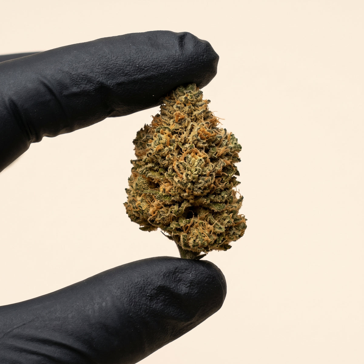 JMB | Fleur CBD Puissante – L'Art de la Déconnexion
