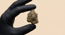 Zkittlez CBD 50 % HRC : la fleur indoor au profil arc-en-ciel